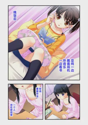 第29頁圖