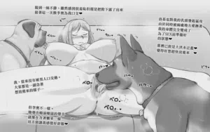第29頁圖