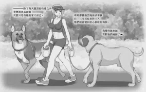 第33頁圖