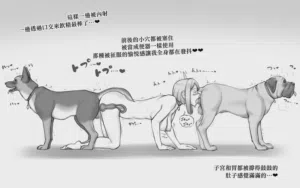 第41頁圖