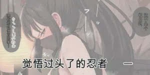 第331頁圖