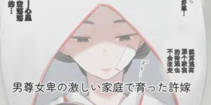 第335頁圖