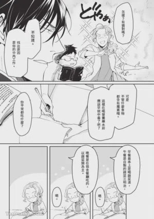 第38頁圖