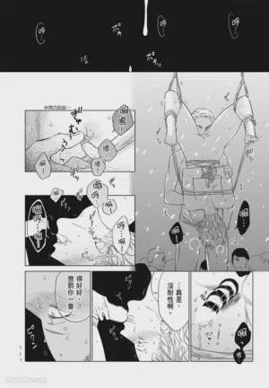 第117頁圖