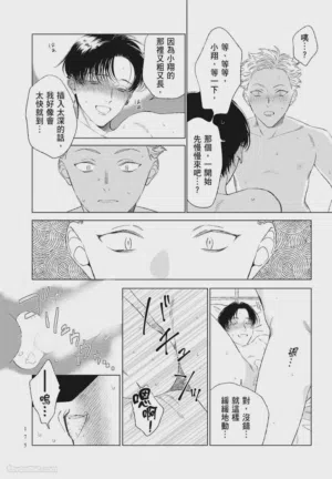 第175頁圖