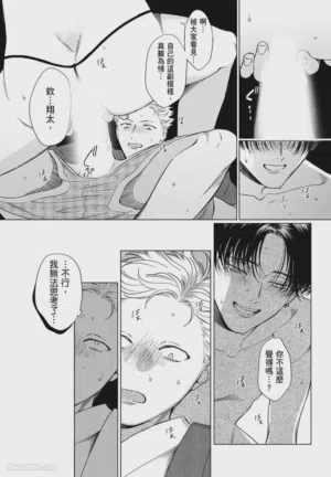 第33頁圖