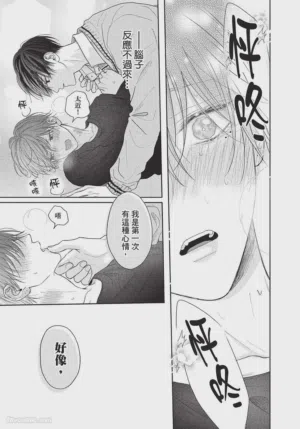 第184頁圖