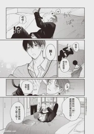 第142頁圖