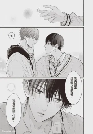 第42頁圖