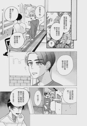 第100頁圖