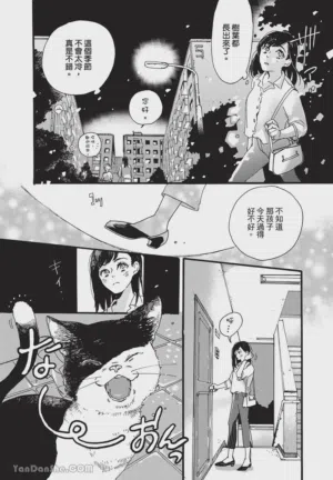 第107頁圖