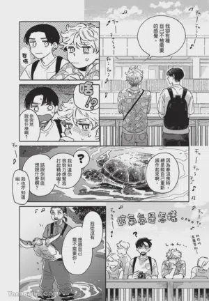 第73頁圖