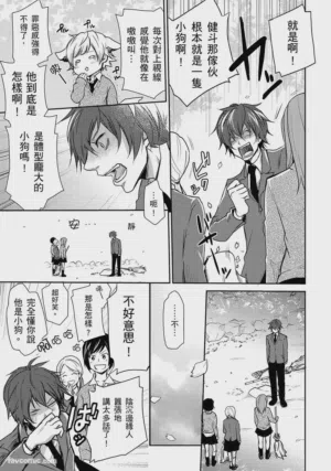第19頁圖
