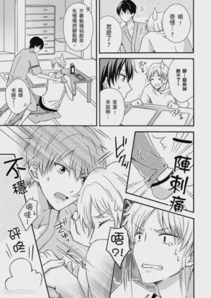 第19页图