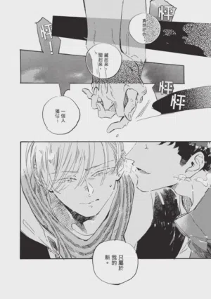 第230頁圖