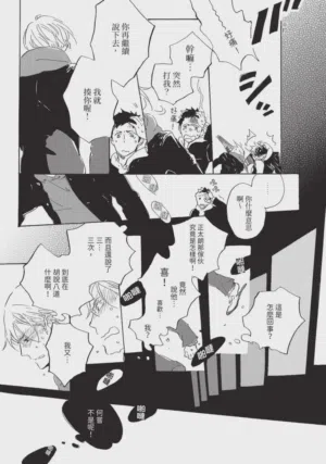 第41頁圖