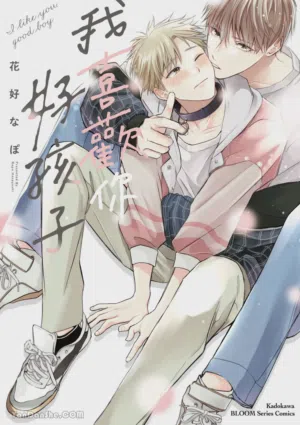 Sukidayo Good Boy︱我喜歡你，好孩子圖