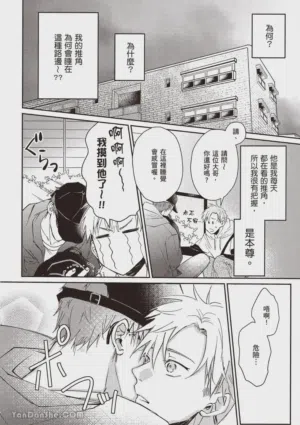 第17頁圖