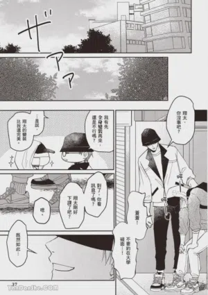 第38頁圖