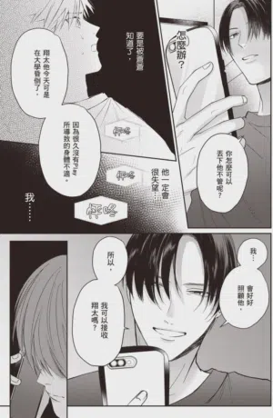 第113頁圖