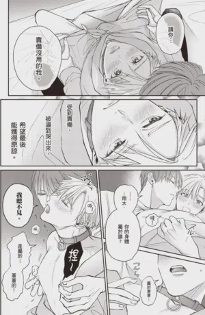 第144頁圖