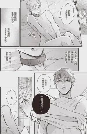 第26頁圖