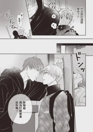 第81頁圖