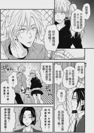 第95頁圖
