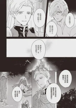 第17页图