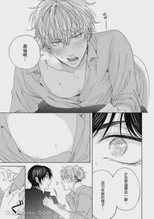 第32页图