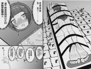 第29頁圖