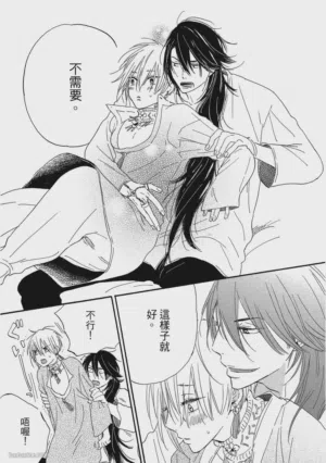 第110頁圖