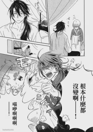 第222頁圖