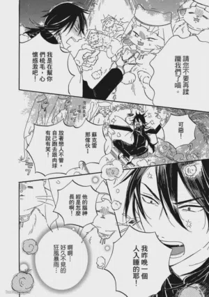 第223頁圖