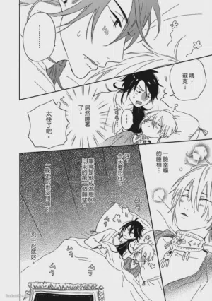 第237頁圖