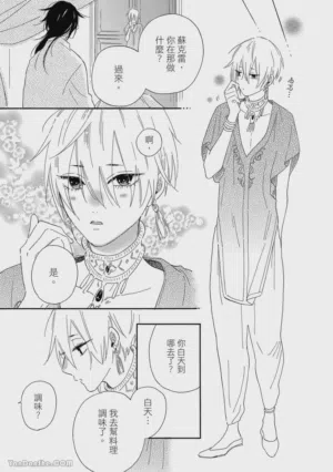 第24页图