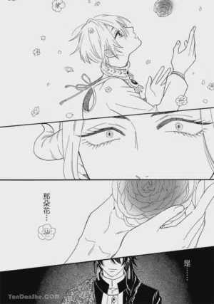 第113頁圖