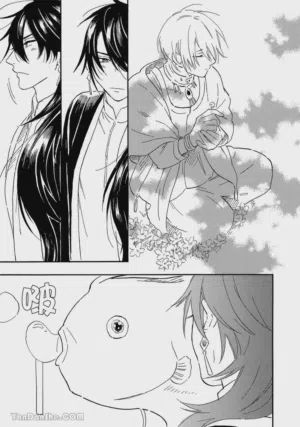 第154頁圖