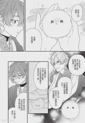 第207頁圖