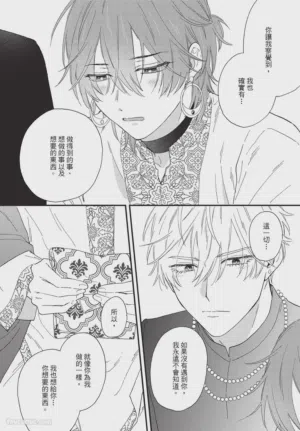 第215頁圖