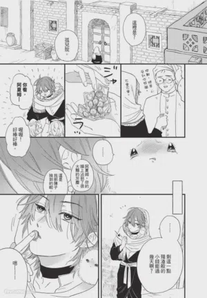 第26頁圖