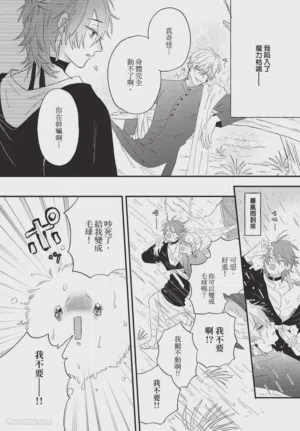 第75頁圖