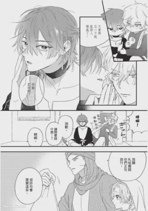 第113頁圖