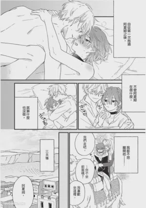 第41頁圖