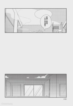 第113页图
