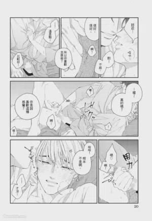 第21页图