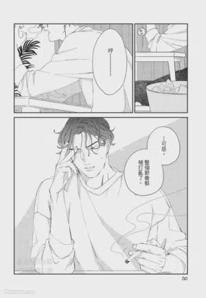 第51页图