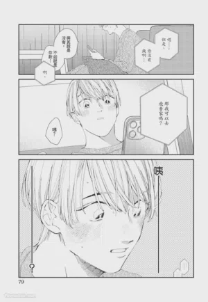 第80页图