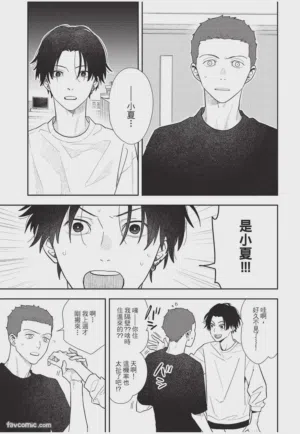 第20頁圖