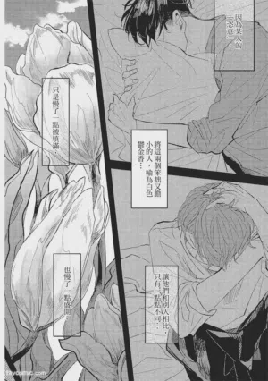第175頁圖